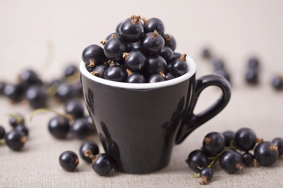 Blackcurrants in and beside an espresso cup