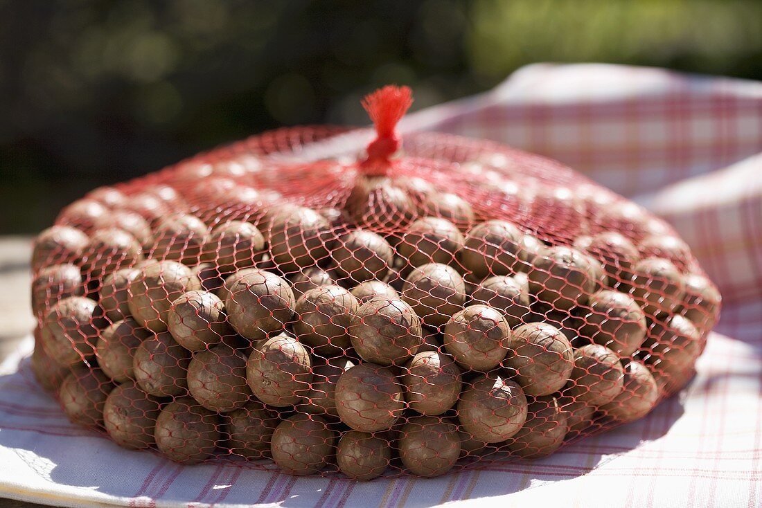 Macadamia nuts in a net bag