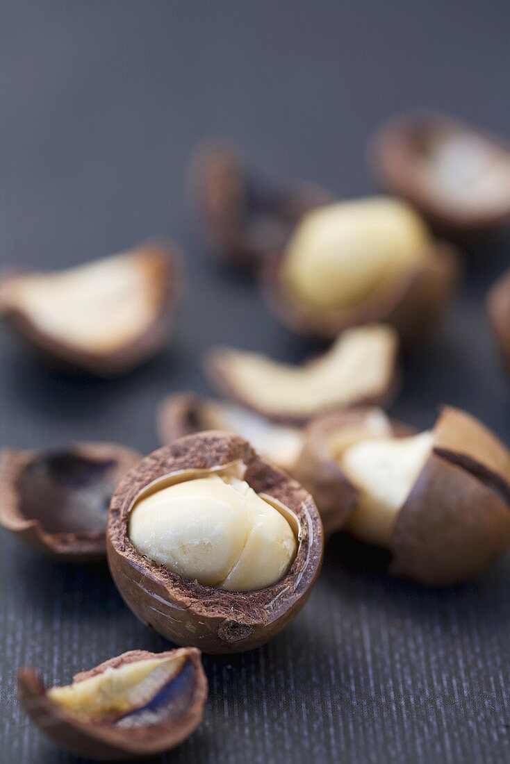 Macadamia nuts, cracked open