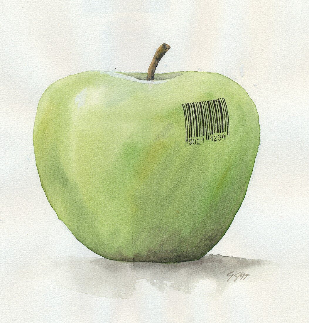 Apfel mit Barcode (Illustration)