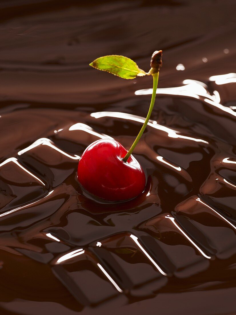 Cherry in melting chocolate