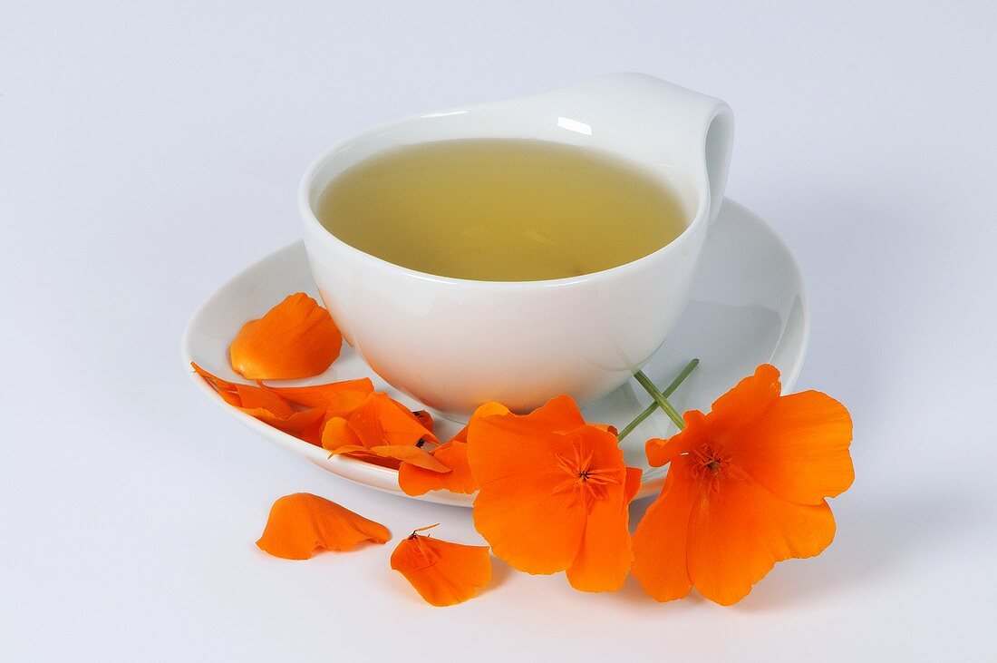 Cup of California poppy tea