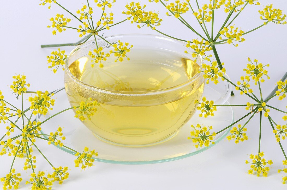 Fennel tea in glass cup and saucer, fennel flowers