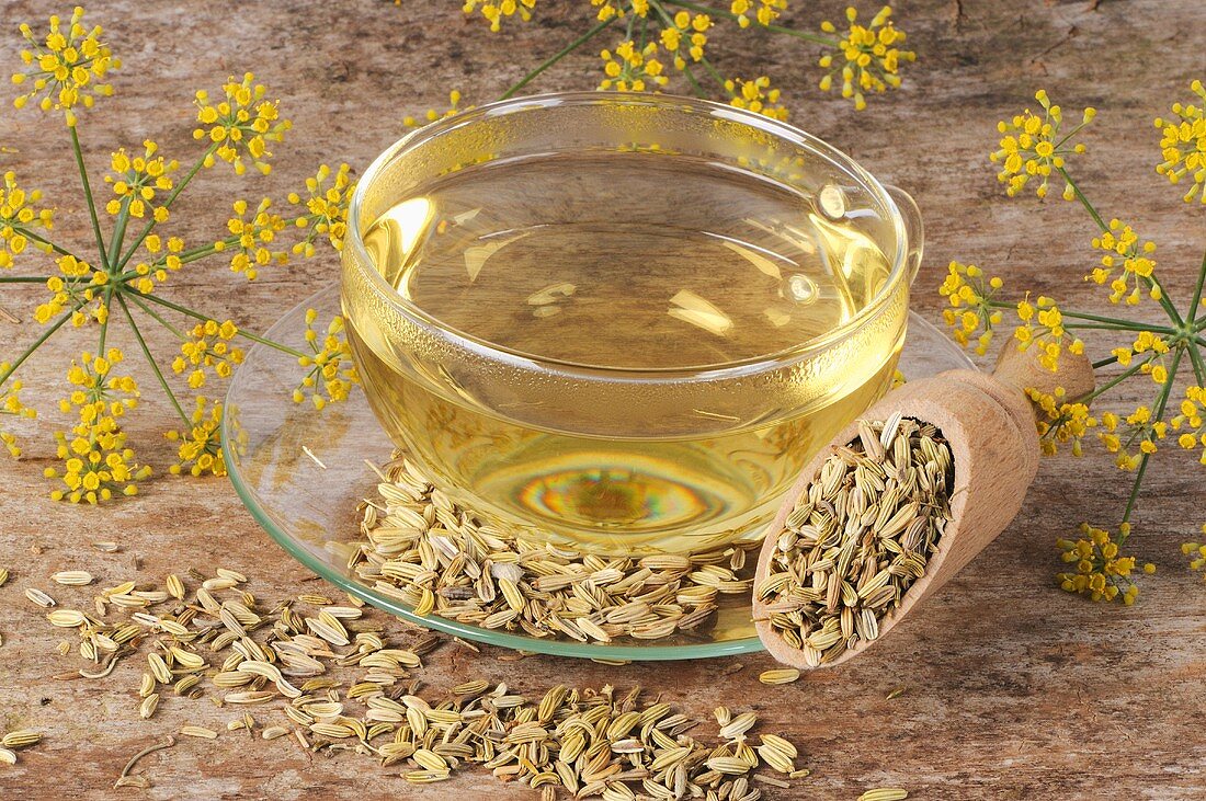 Fennel tea, fennel seeds and fennel flowers
