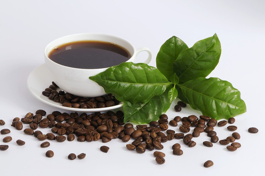 Cup of coffee, coffee leaves, coffee beans