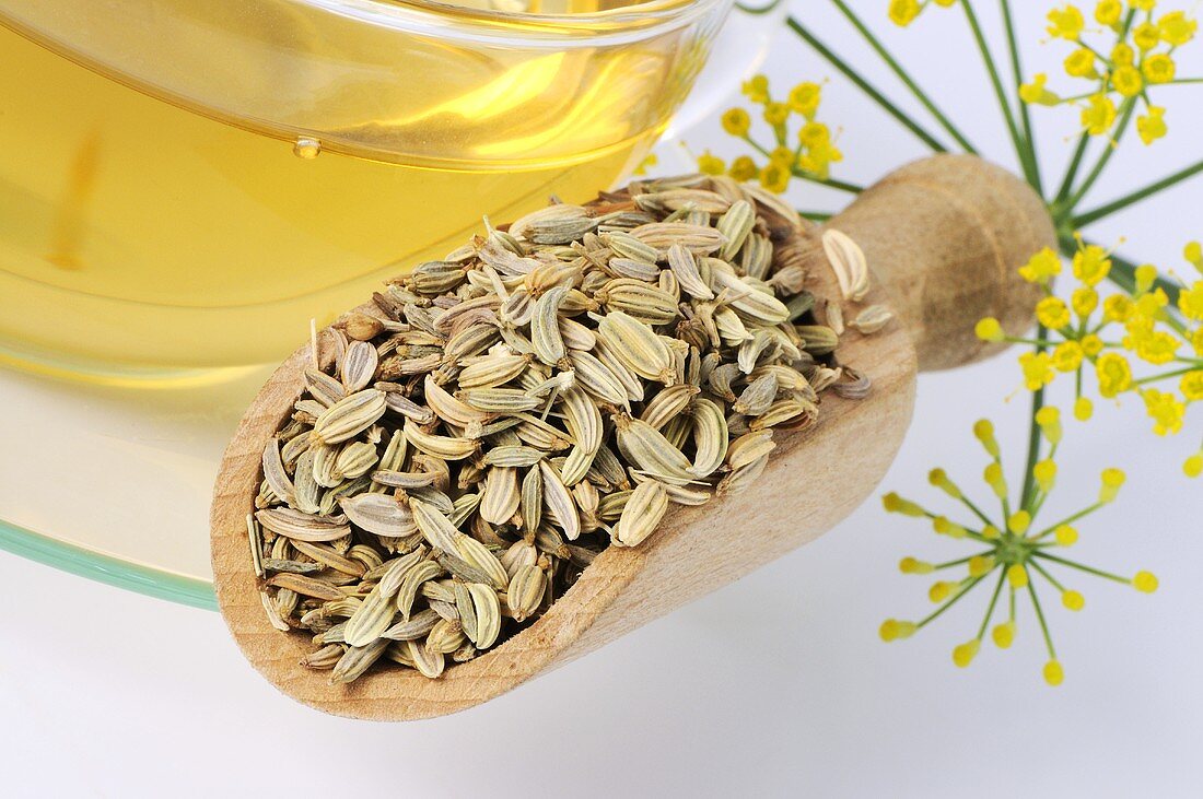 Fennel seeds and fennel tea