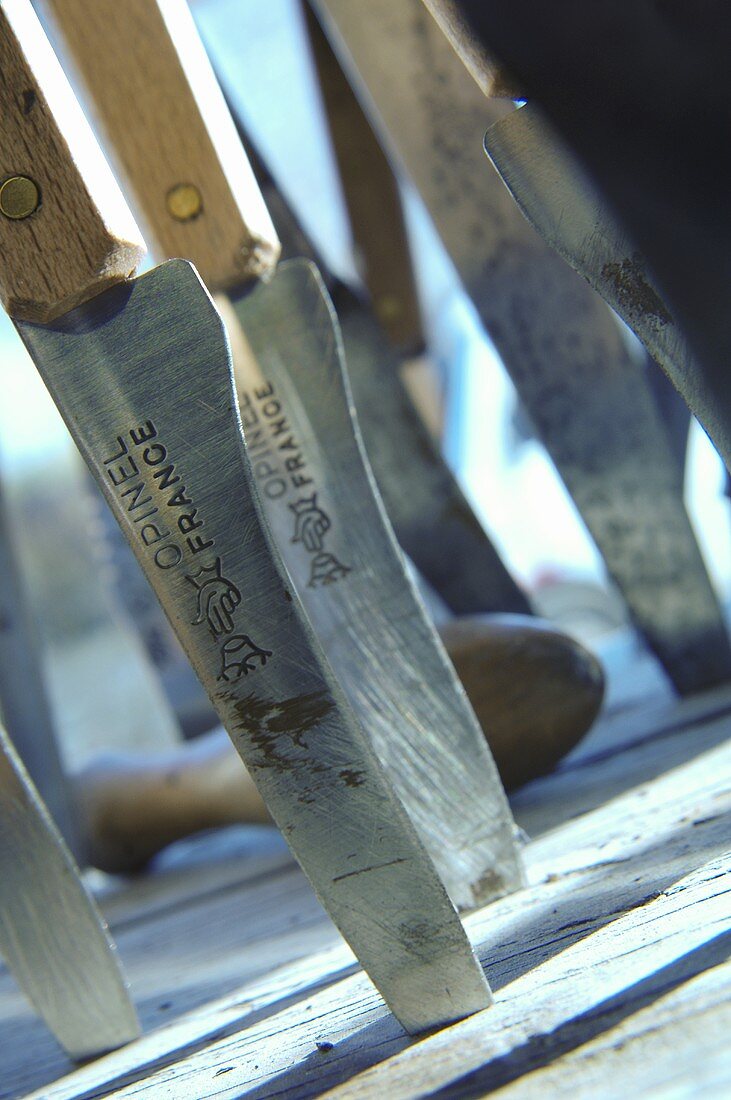 Knives with wooden handles