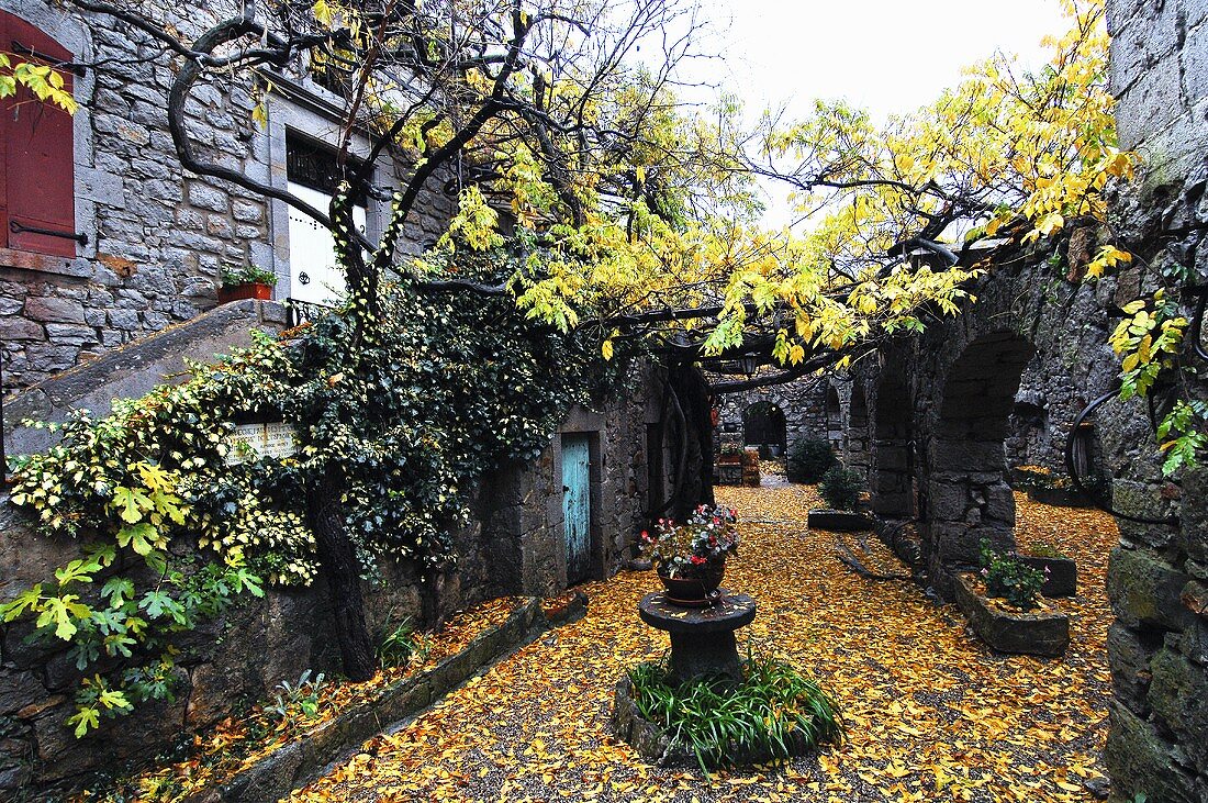 The Alphonse Daudet Museum (Ardèche, France)