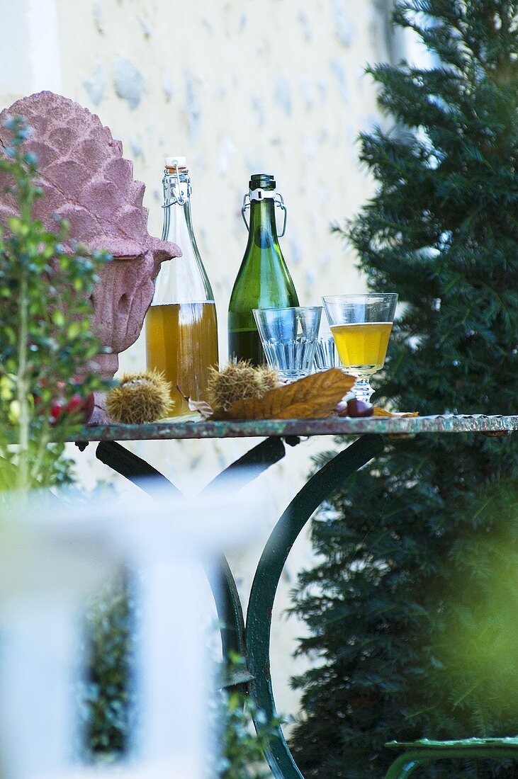 Autumn decorations & Federweisser (young wine) on garden table