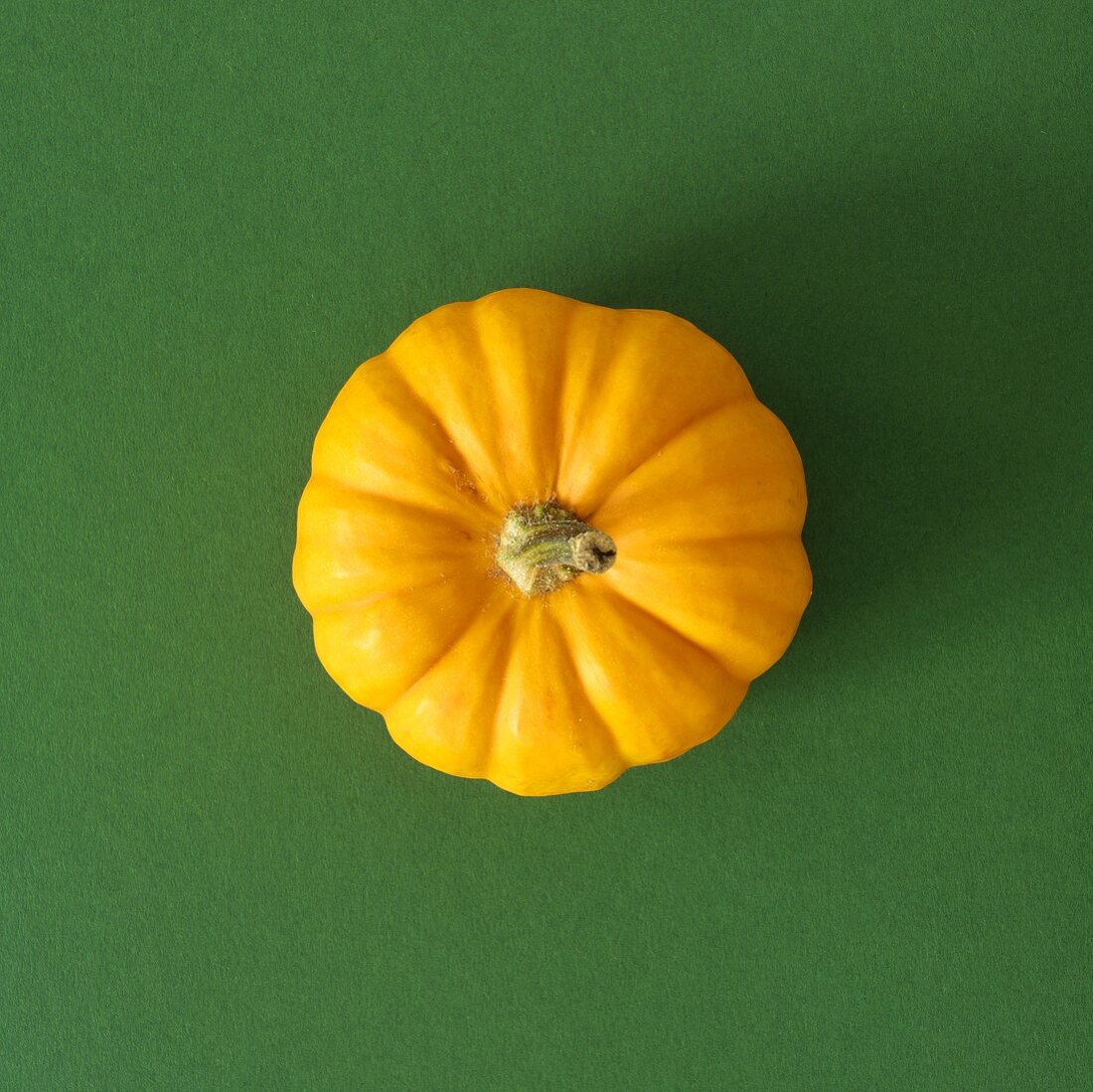 Orange pumpkin on green background (overhead view)