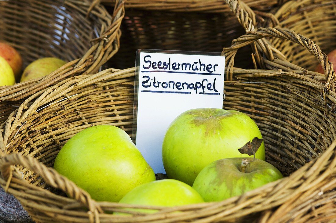 Apples, variety: 'Seestermüher Zitronenapfel' in basket