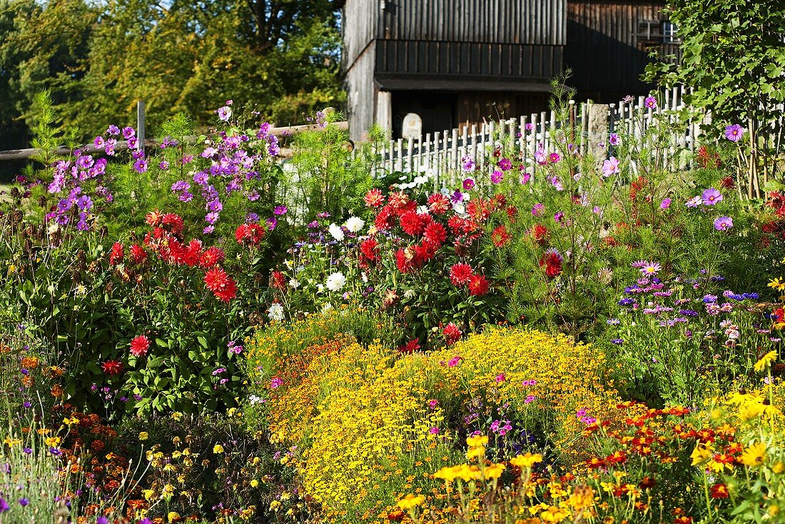 Cottage garden with wooden fence
