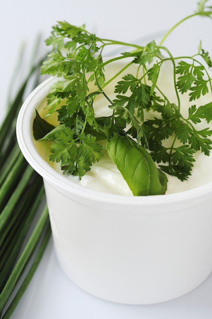 Pot of yoghurt with fresh herbs