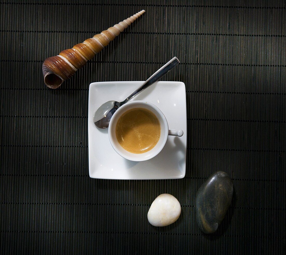 Cup of espresso and maritime decorations (overhead view)