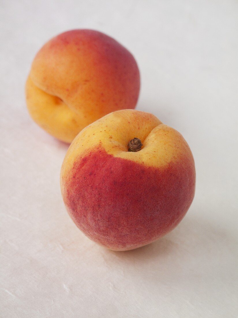 Two ripe apricots