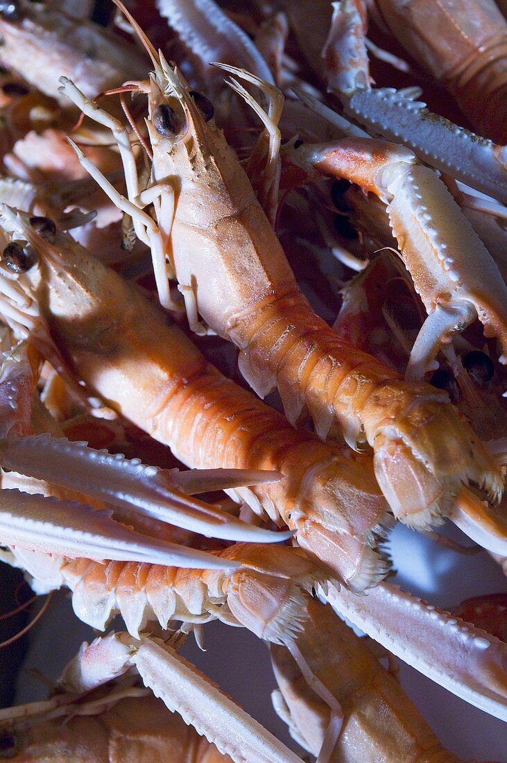 Cooked scampi (close-up)