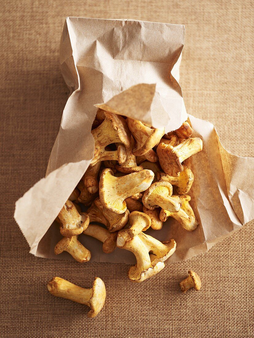 Fresh chanterelles in a paper bag