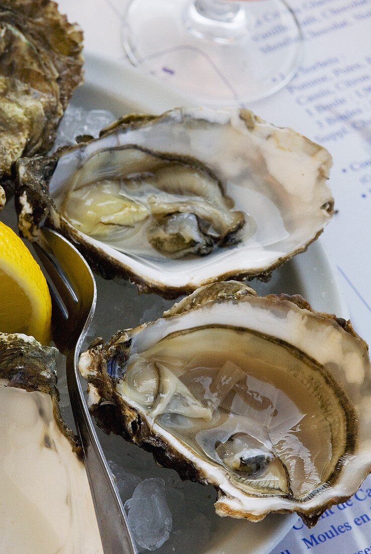 Fresh oysters with lemon juice