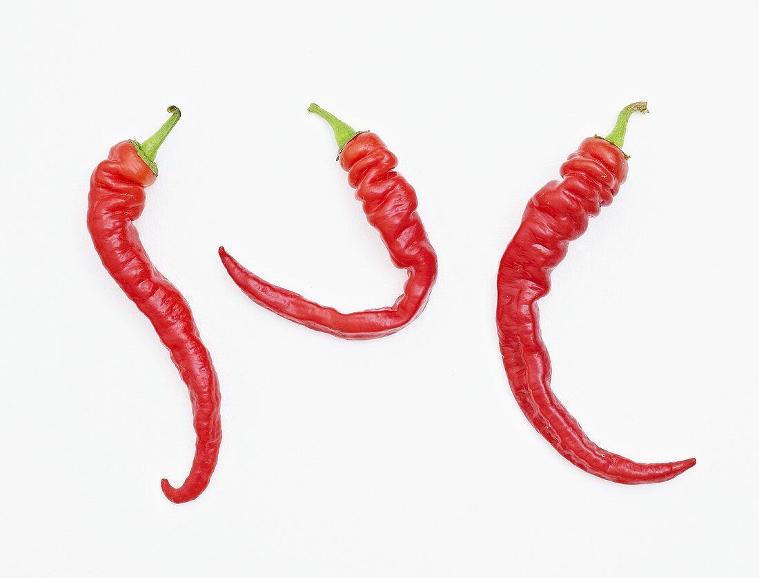 Three red chillies