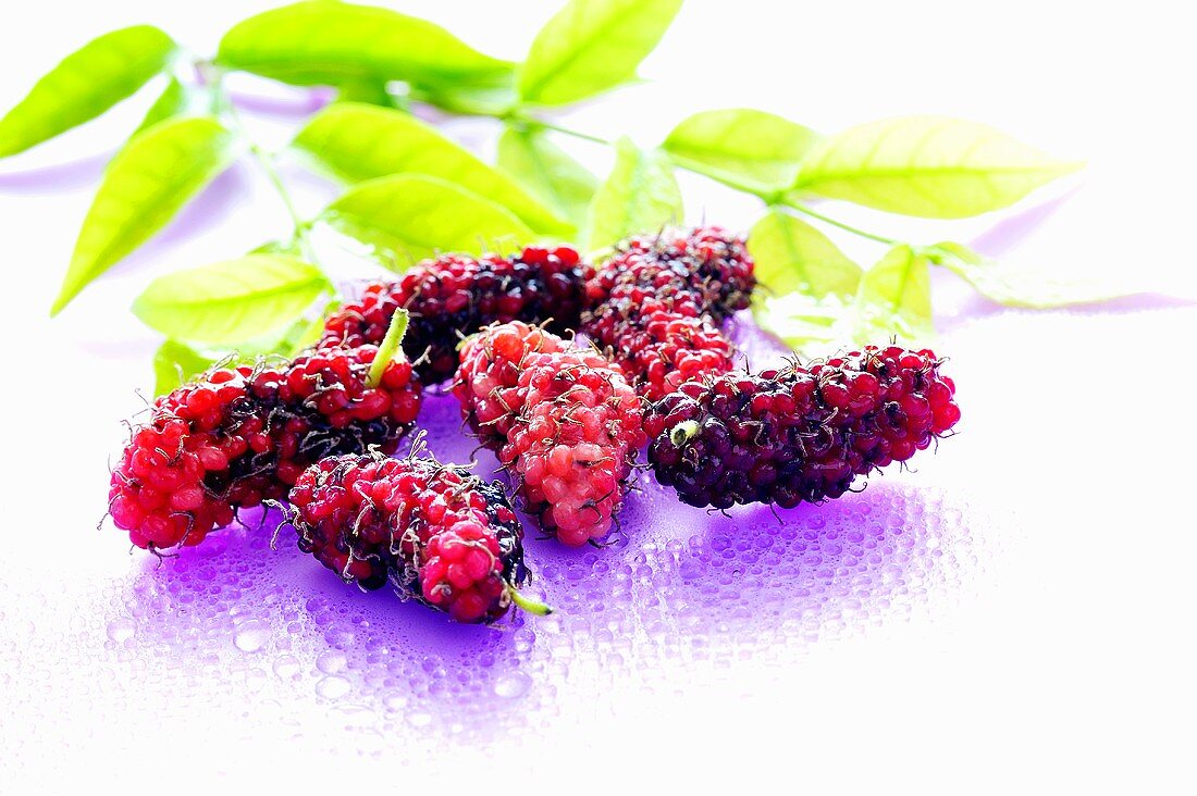 Several Thai mulberries