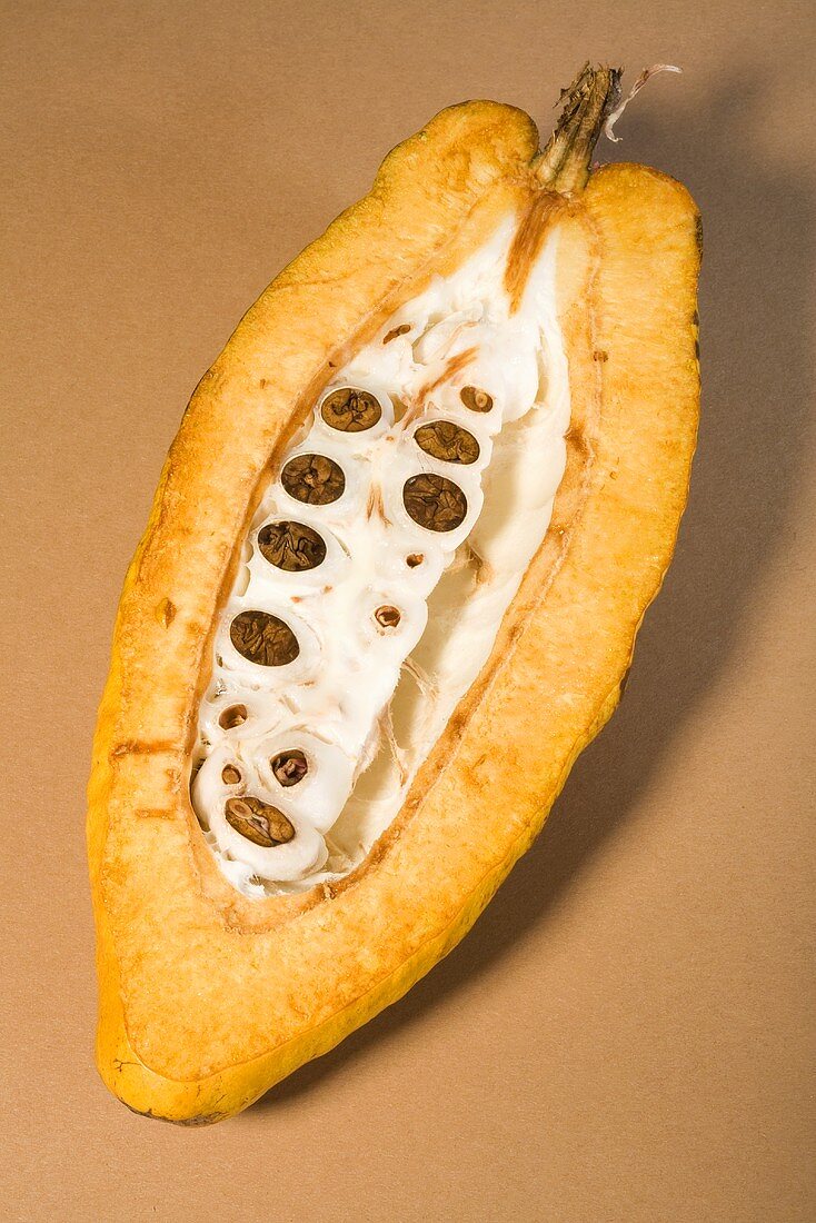 Halbe Kakaofrucht