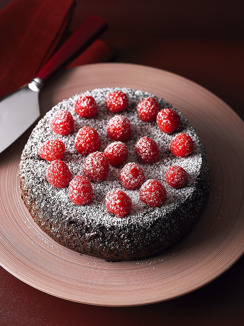 Schokoladenkuchen mit Himbeeren und Puderzucker