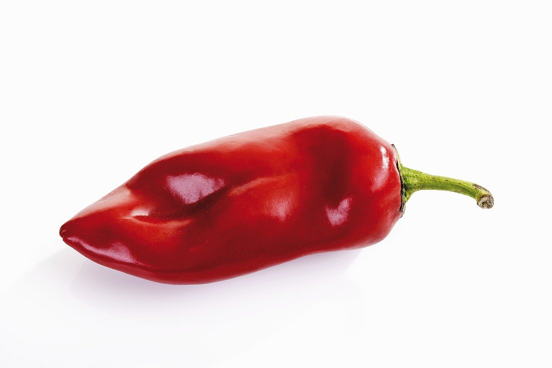 Hungarian pointed pepper