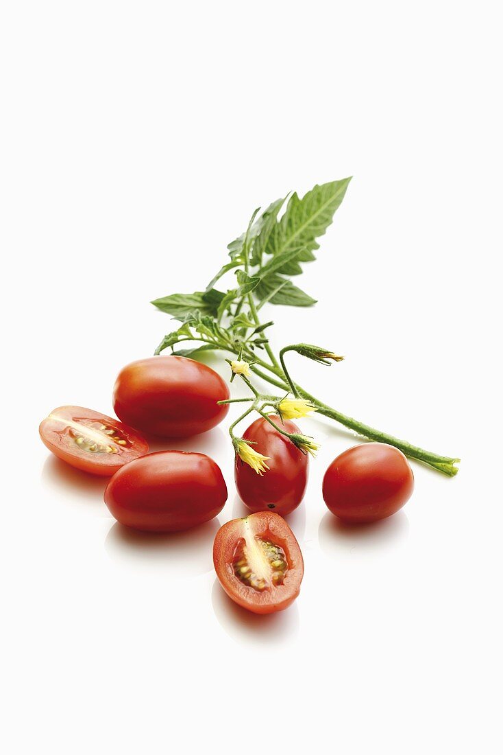 Plum tomatoes with leaf