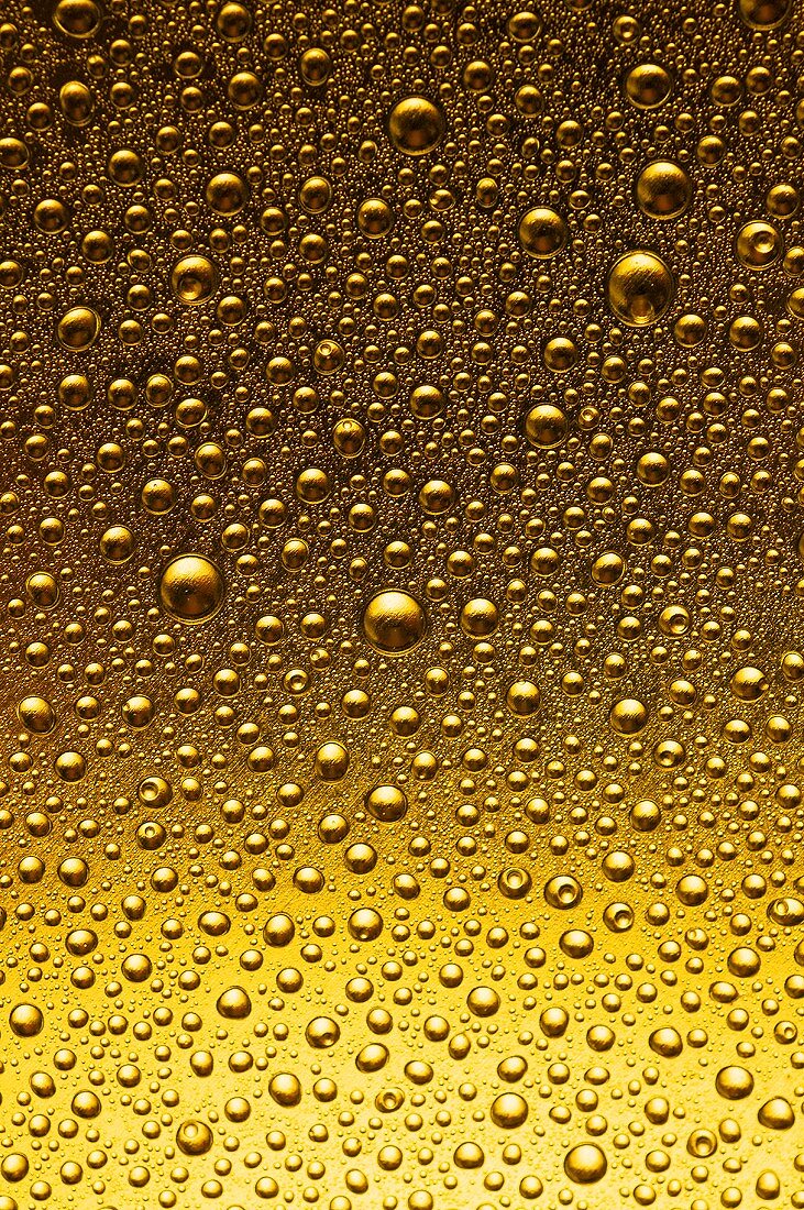Glass of beer with condensation (close-up)