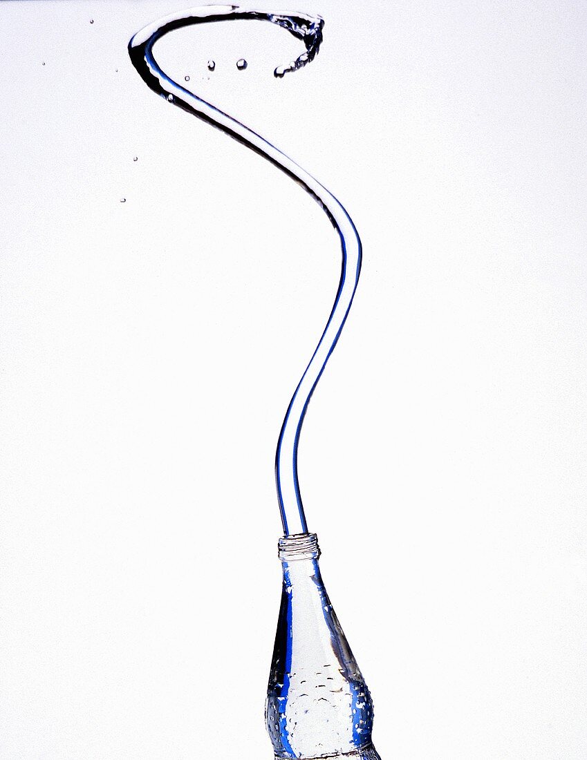 Wasserflasche mit Wasserschlange