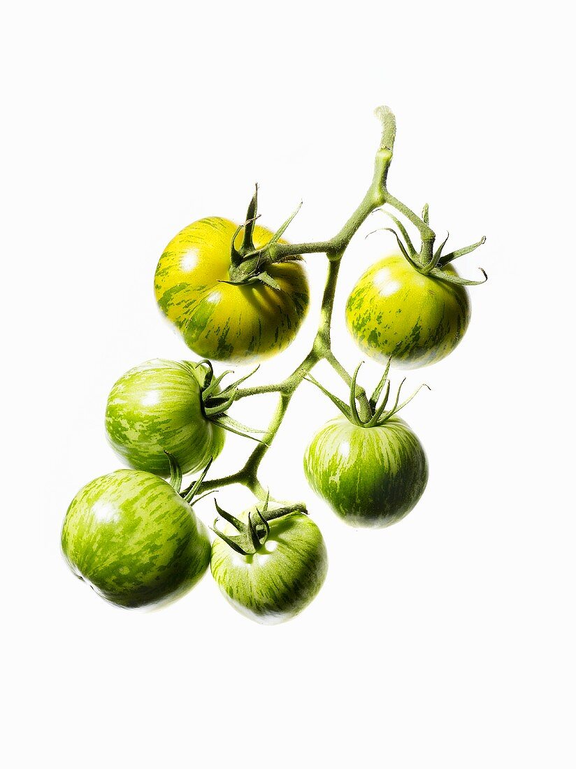 Bio-Tomaten (Sorte Green Zebra)