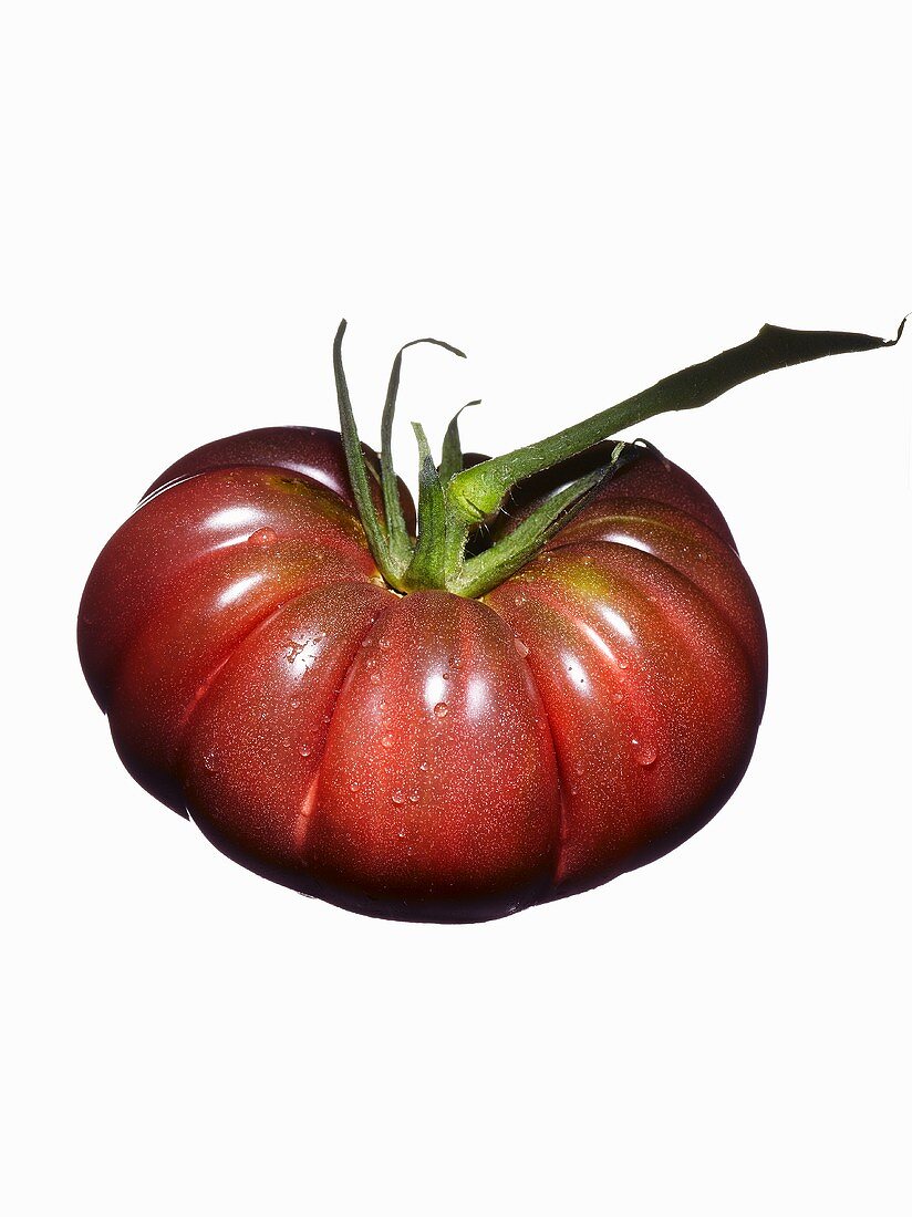 Organic tomato (variety Purple Calabash) with drops of water