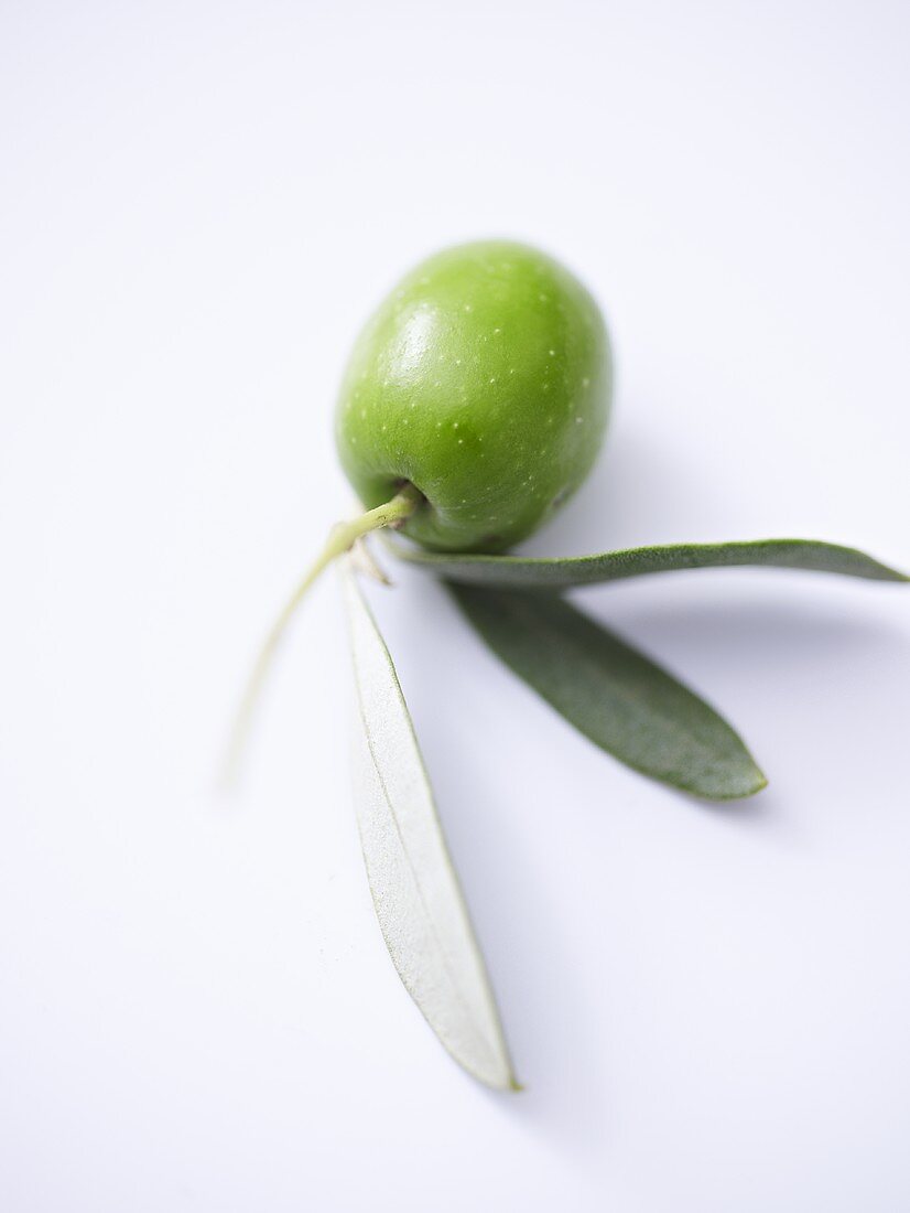 Grüne Olive mit Blättern