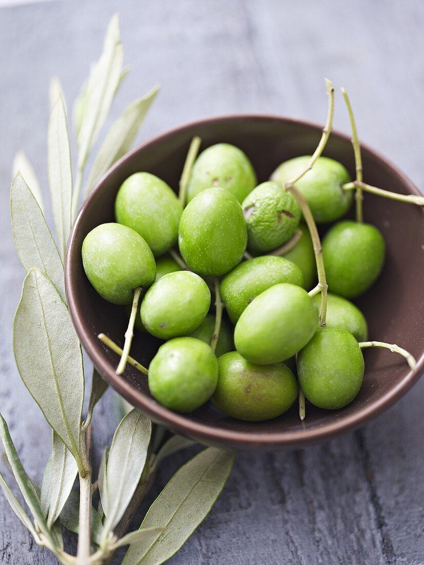Grüne Oliven in Schale, daneben Olivenzweig