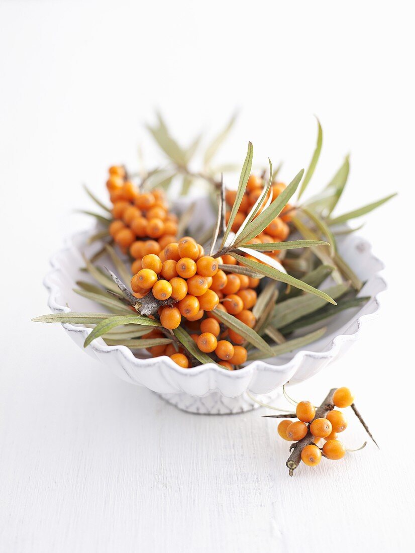 Sea buckthorn berries in and beside dish