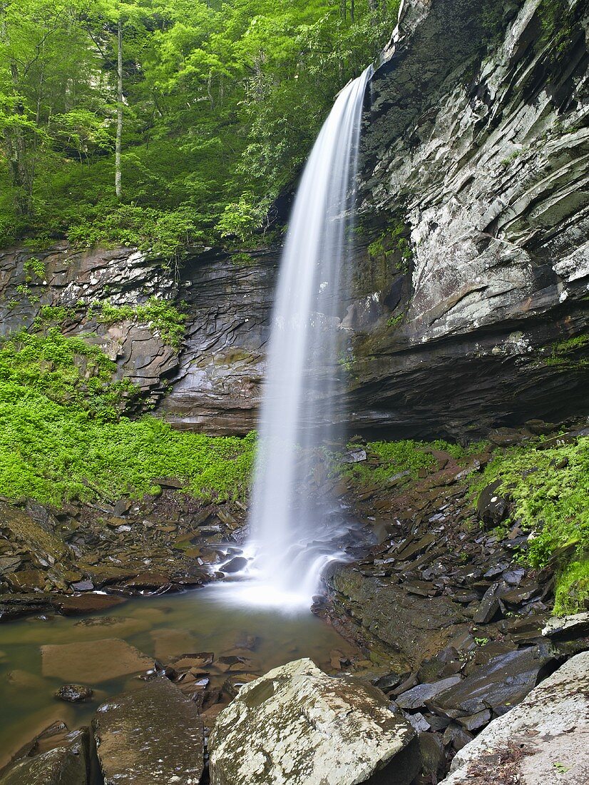 Wasserfall (West Virginia, USA)