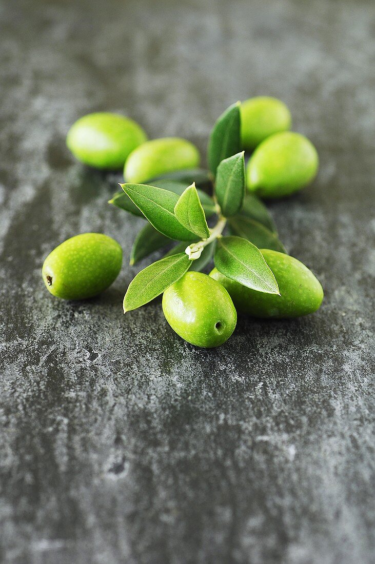 Fresh green olives with olive sprig