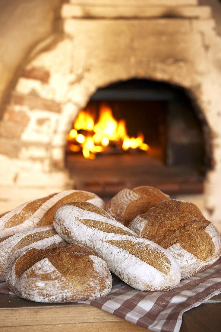 Freshly baked rustic bread in front of oven