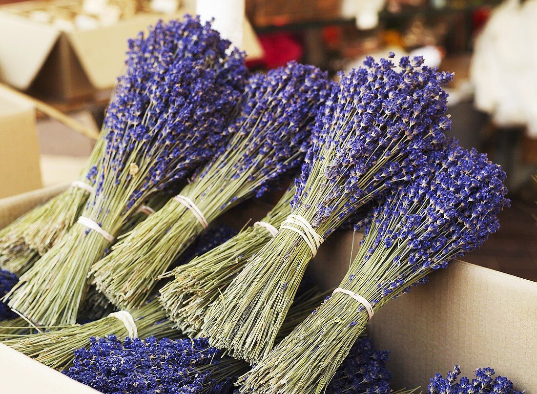 Getrocknete Lavendelsträusse aus der Provence in Schachtel