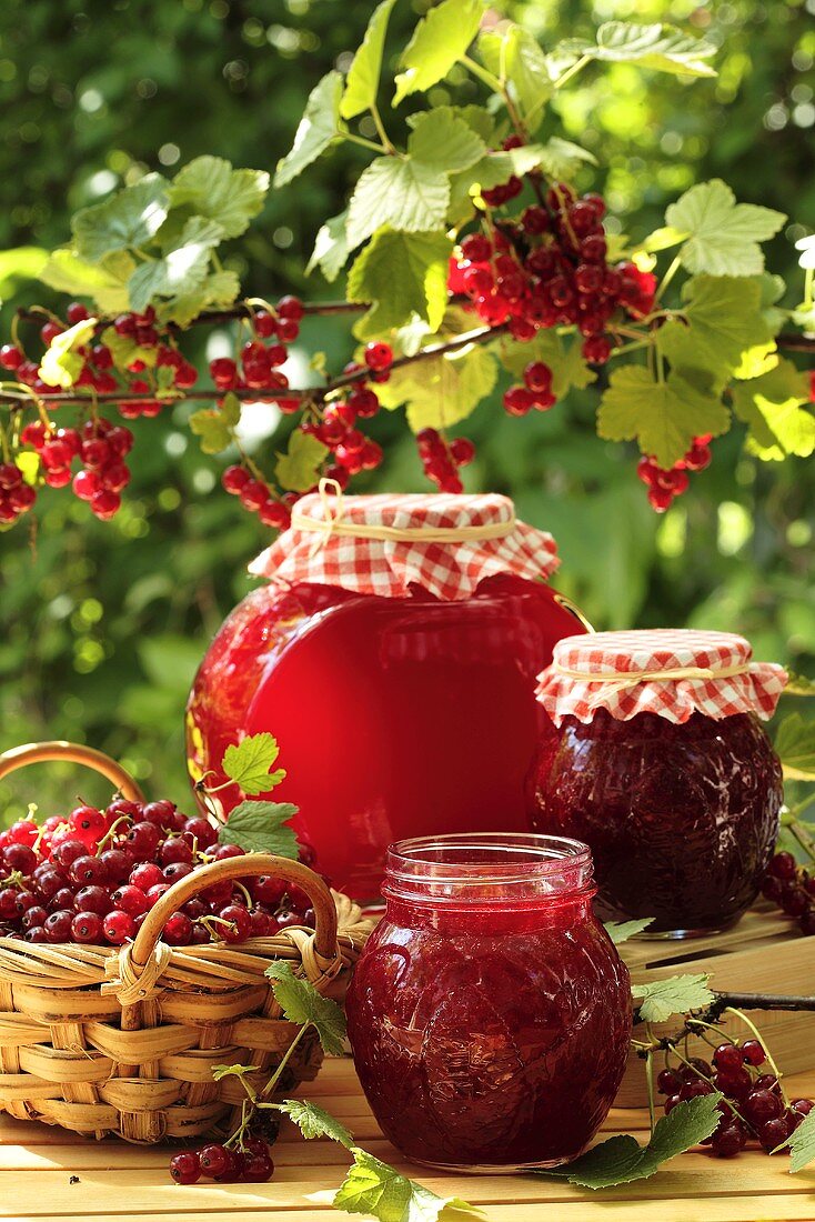 Jam in various jars under redcurrant bush