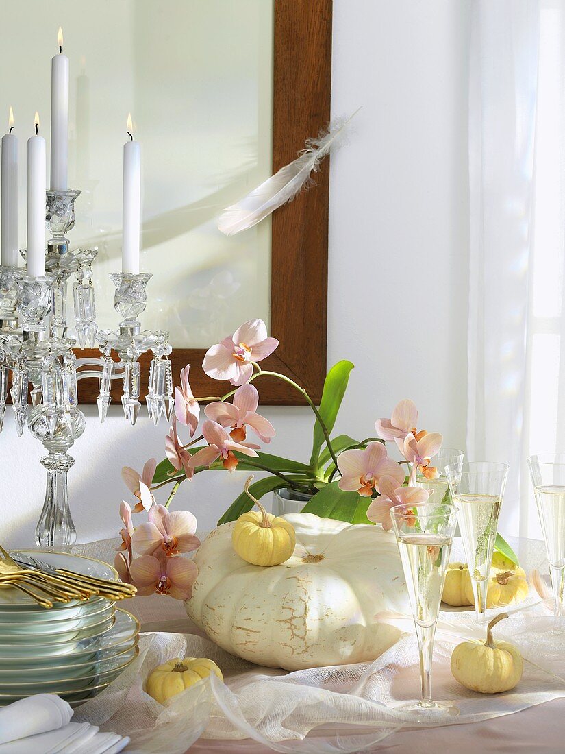 Buffet decoration: white pumpkins, pink orchids, glasses of wine