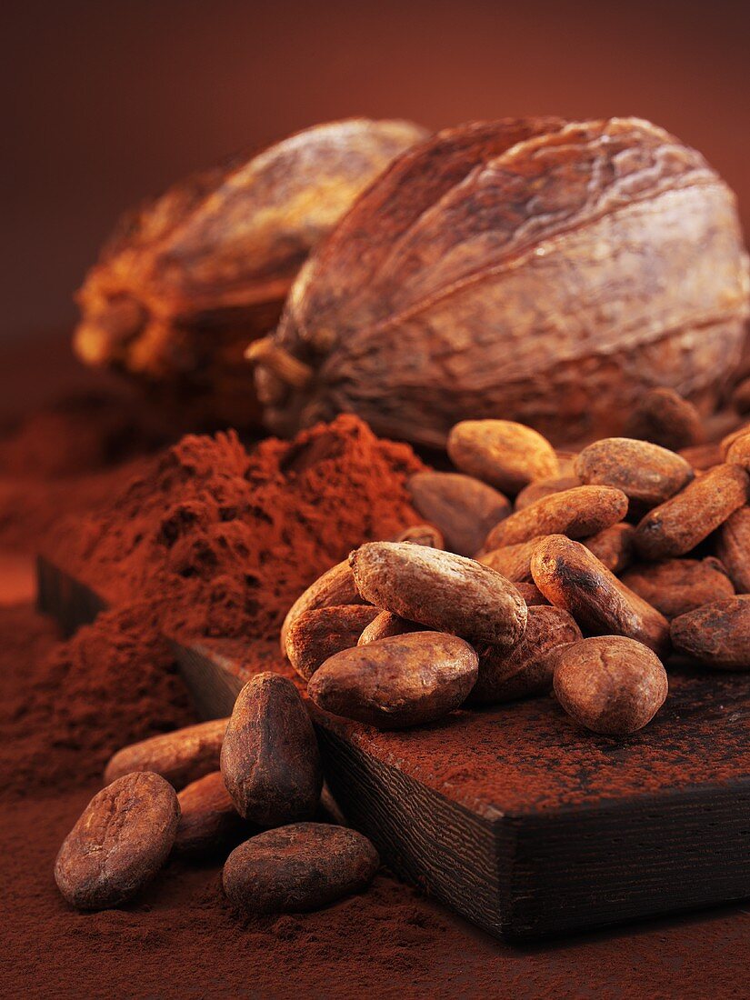Kakaobohnen, Kakaopulver und Kakaofrüchte
