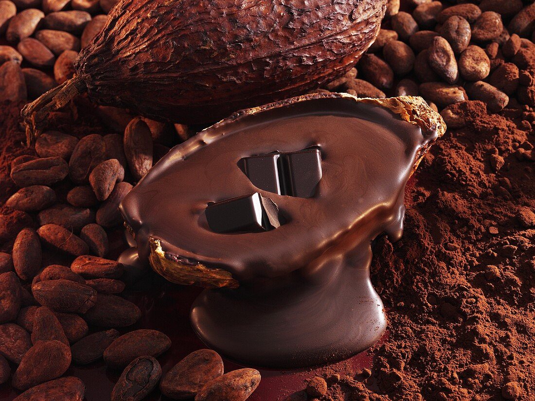 Schokoladenstücke, geschmolzene Schokolade, Kakaobohnen, Kakaopulver und Kakaofrucht
