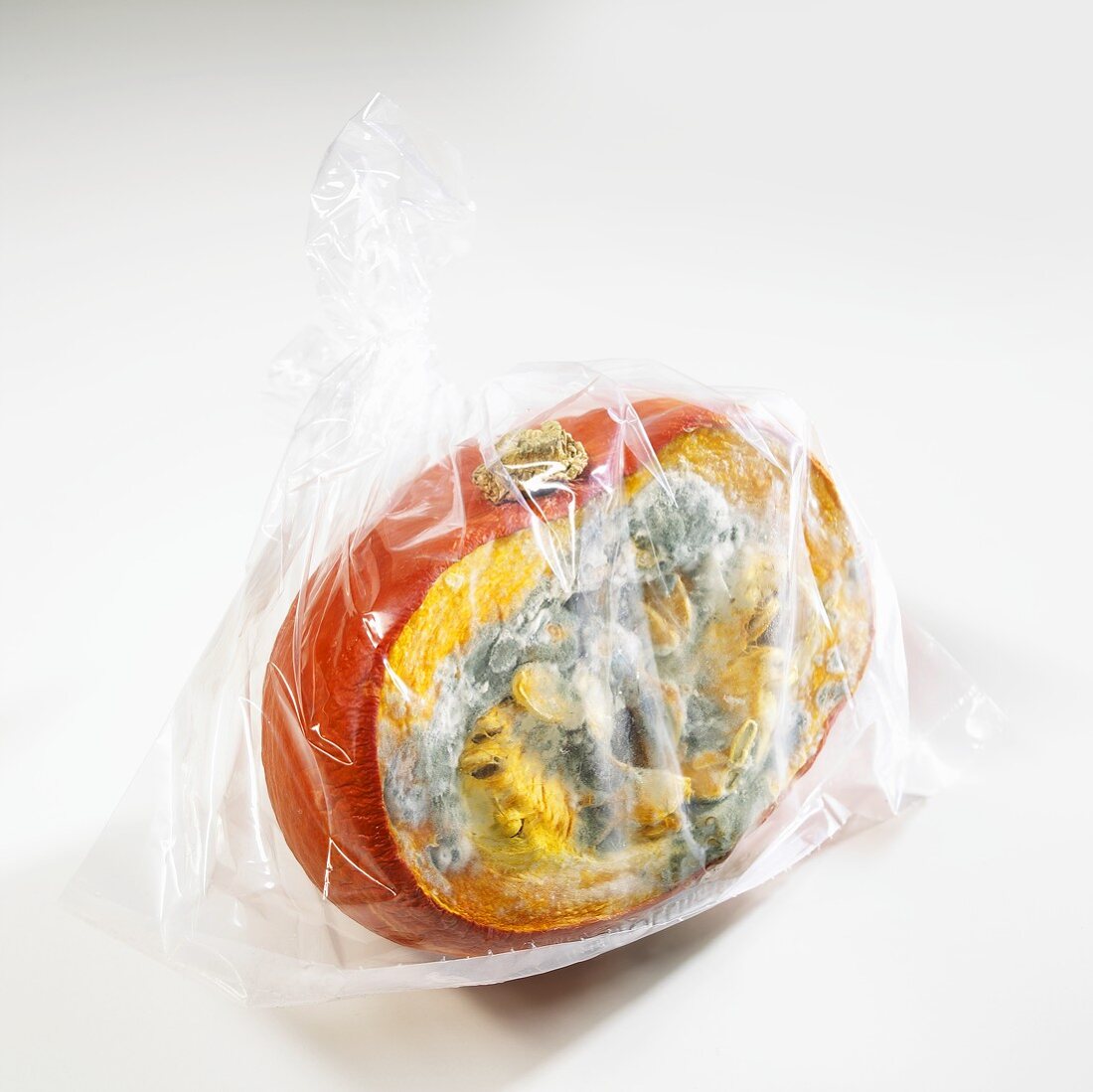 Mouldy pumpkin in plastic bag