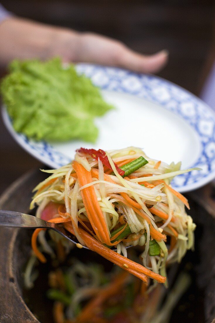 Putting vegetable salad on plate (Thailand)