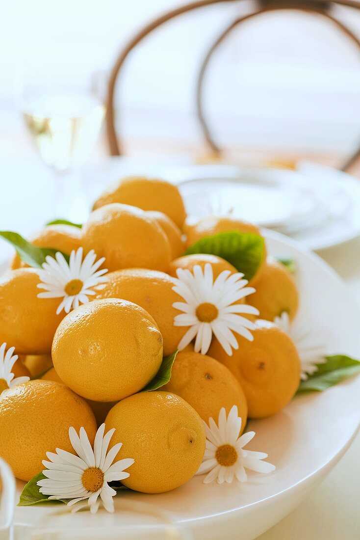 Tischdeko mit Zitronen und Margeriten