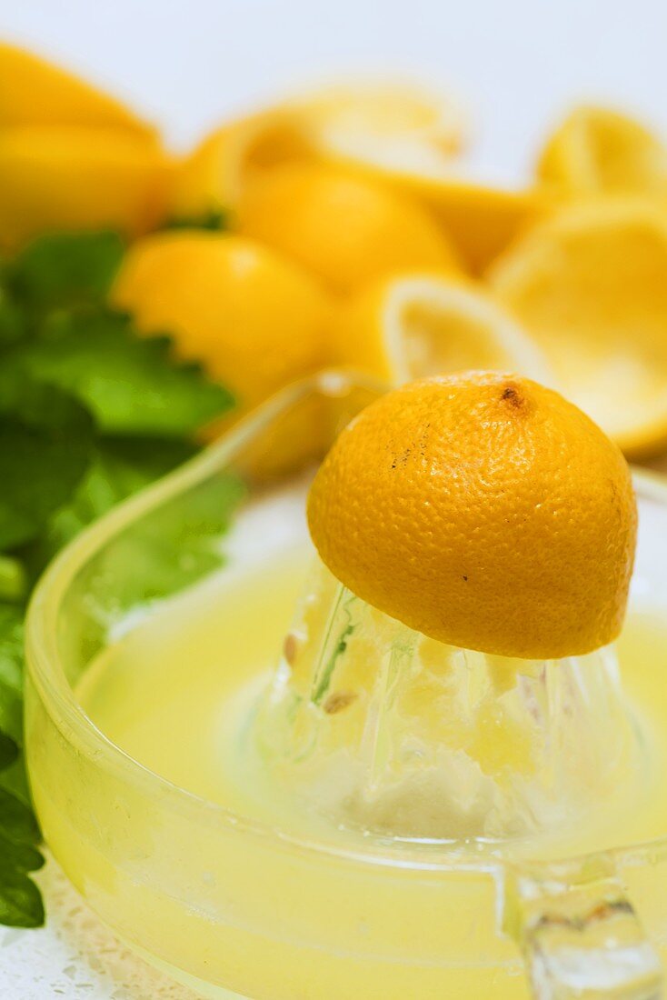 Halbe Zitrone auf Zitruspresse