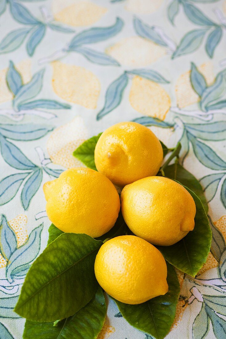 Vier ganze Zitronen auf Blättern