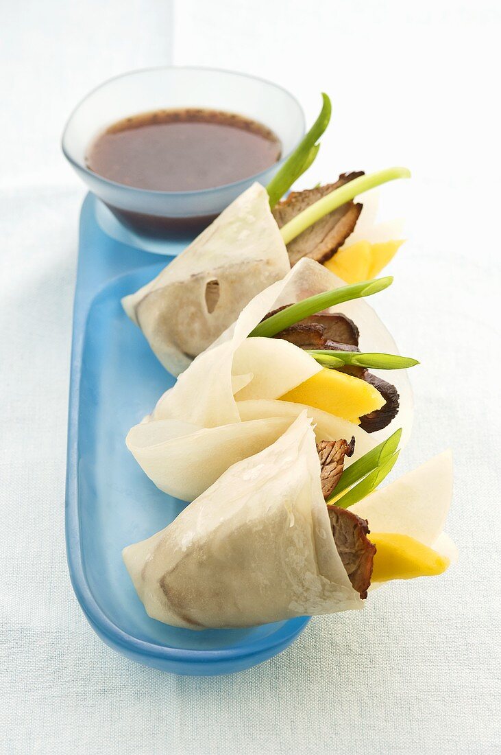 Rice paper wraps filled with duck and fruit (Asia)