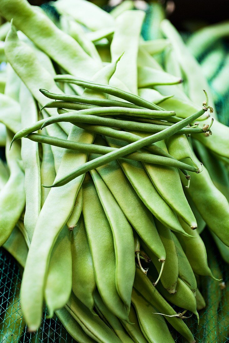 Various green beans